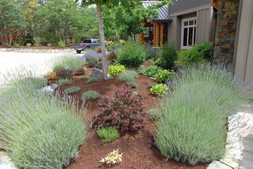 Medford, OR Landscape Installation Services
