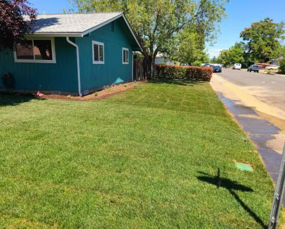Medford, OR Sod & Turf Management Services