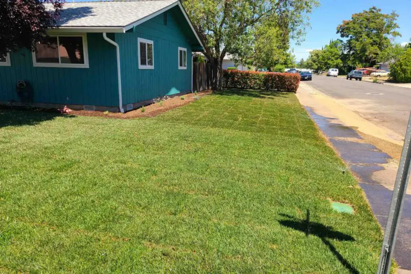 Medford, OR Sod & Turf Management Services