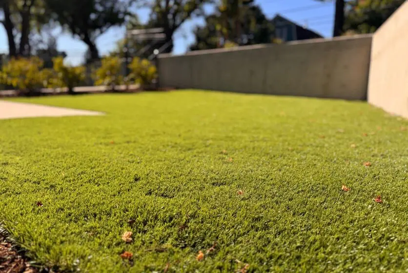 Medford, OR Sod & Turf Management Services