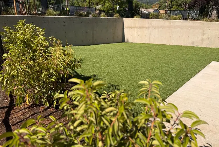Medford, OR Sod & Turf Management Services