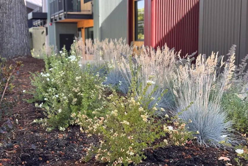 Medford, OR Irrigation Companies