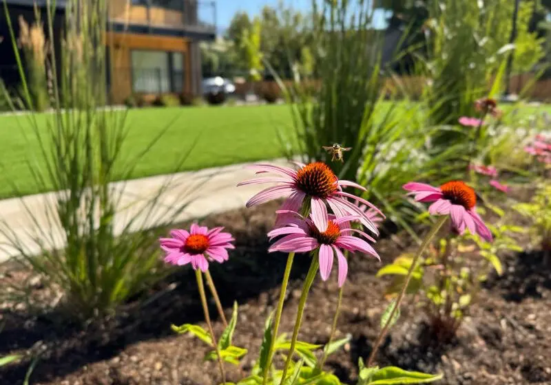Medford, OR Landscaping Companies