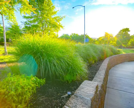 Medford, OR Commercial Irrigation Companies