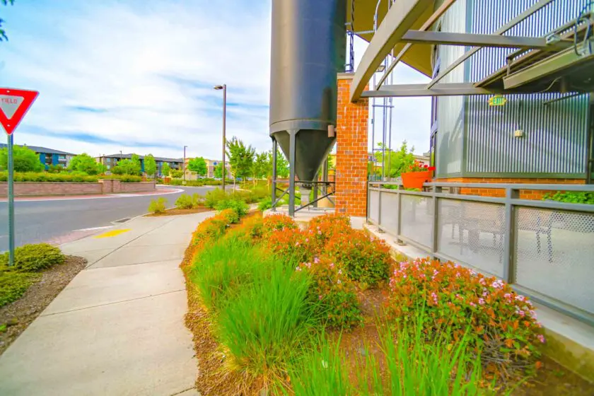 Seasonal Enhancements in Medford, OR