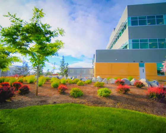 Medford, OR Commercial Landscaping Companies