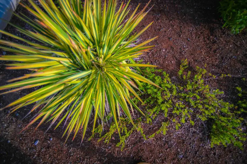 Medford, OR Commercial Landscaping Companies