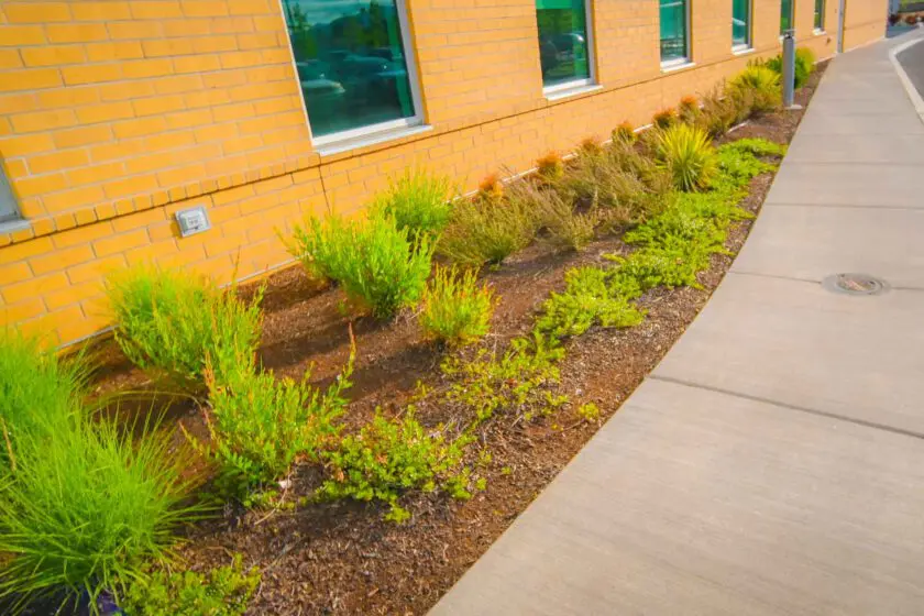 Medford, OR Commercial Irrigation Companies