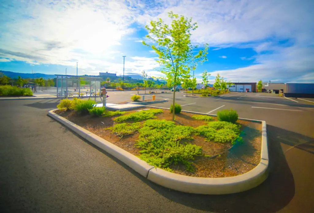 ROGUE CU Pacific Hwy 0737 12