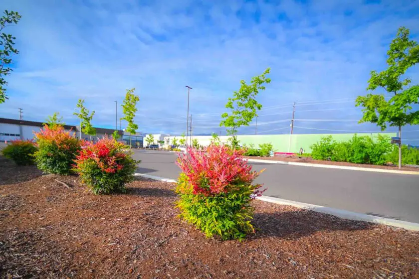 Medford, OR Commercial Landscaping Companies