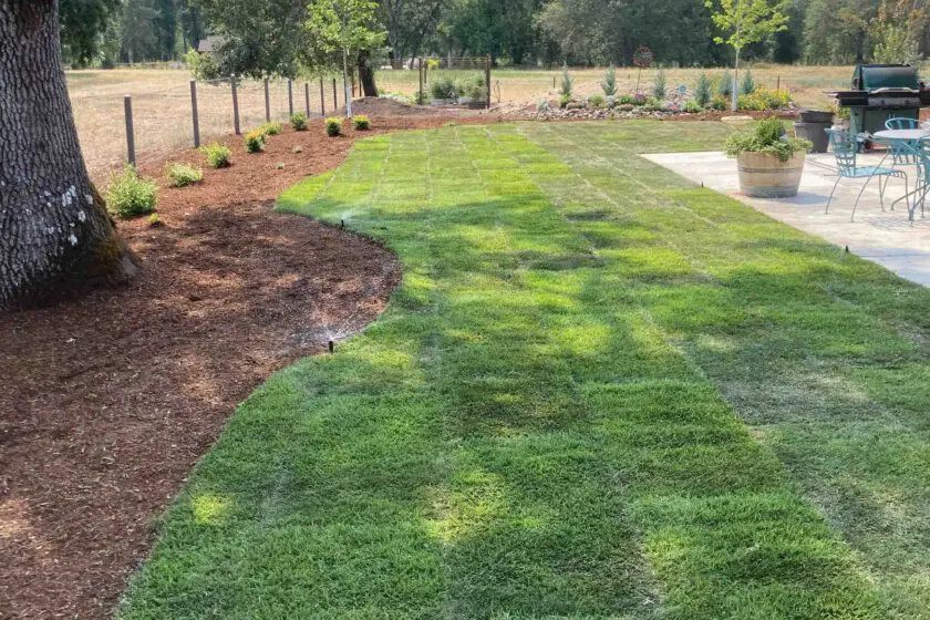 Medford, OR Sod & Turf Management Services