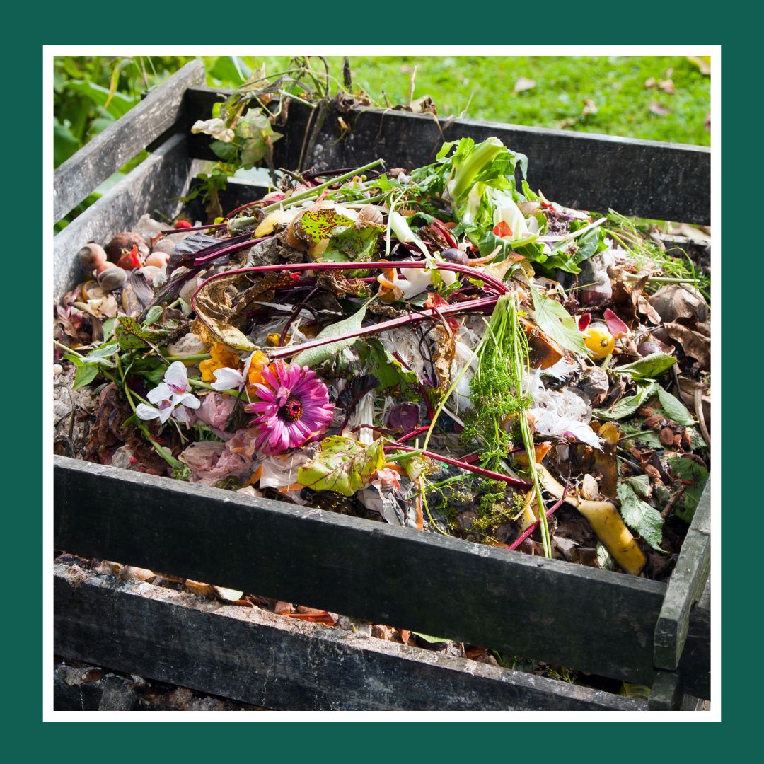 Composting Tips and Tricks