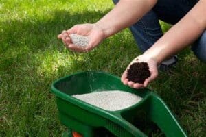 LAWN FERTILIZER 