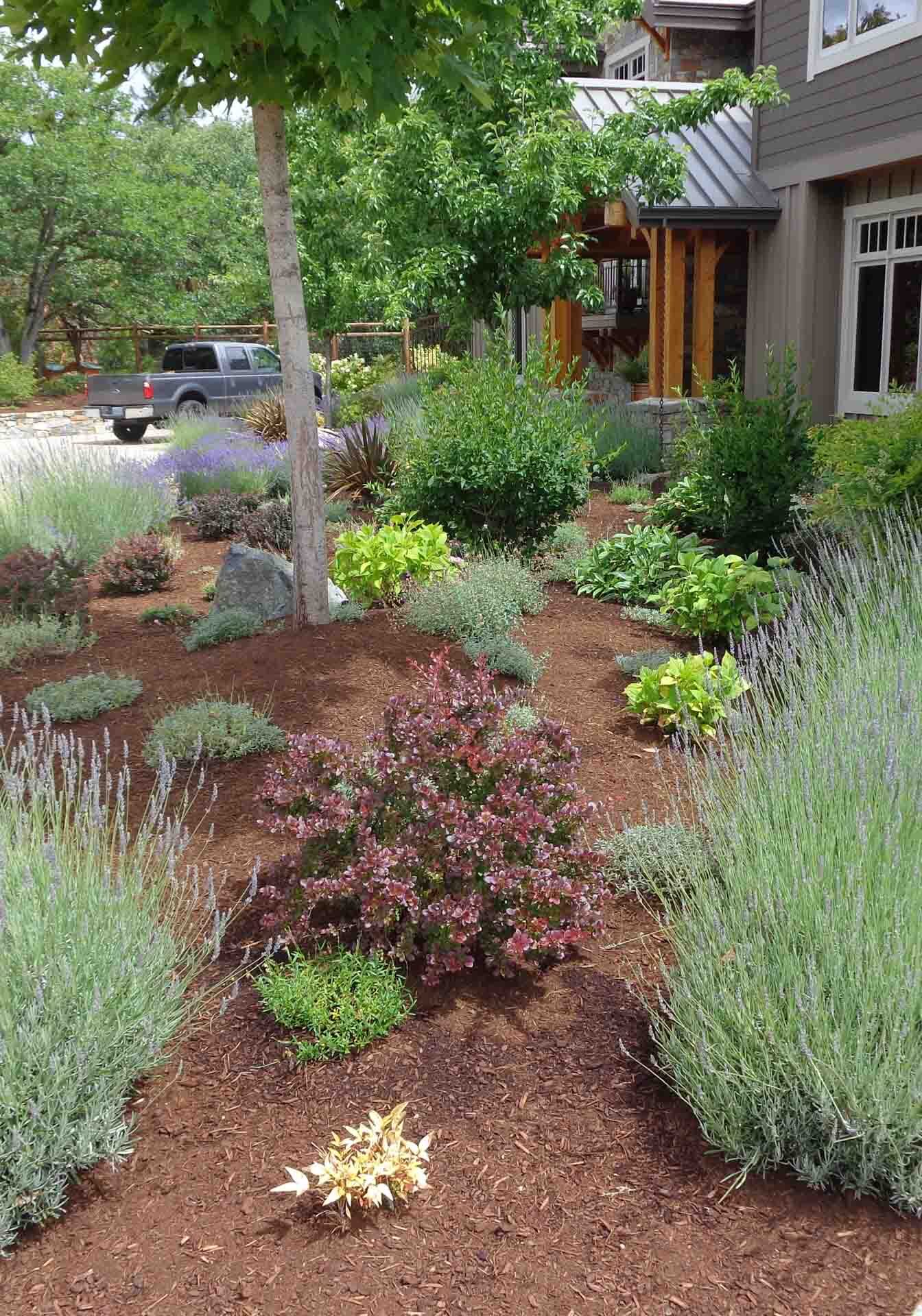 042 Medford, OR Landscape Installation Services