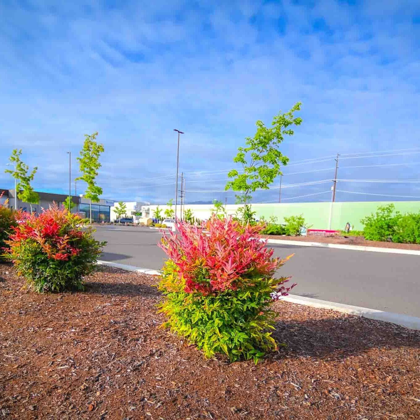 Commercial Services Eagle Point OR