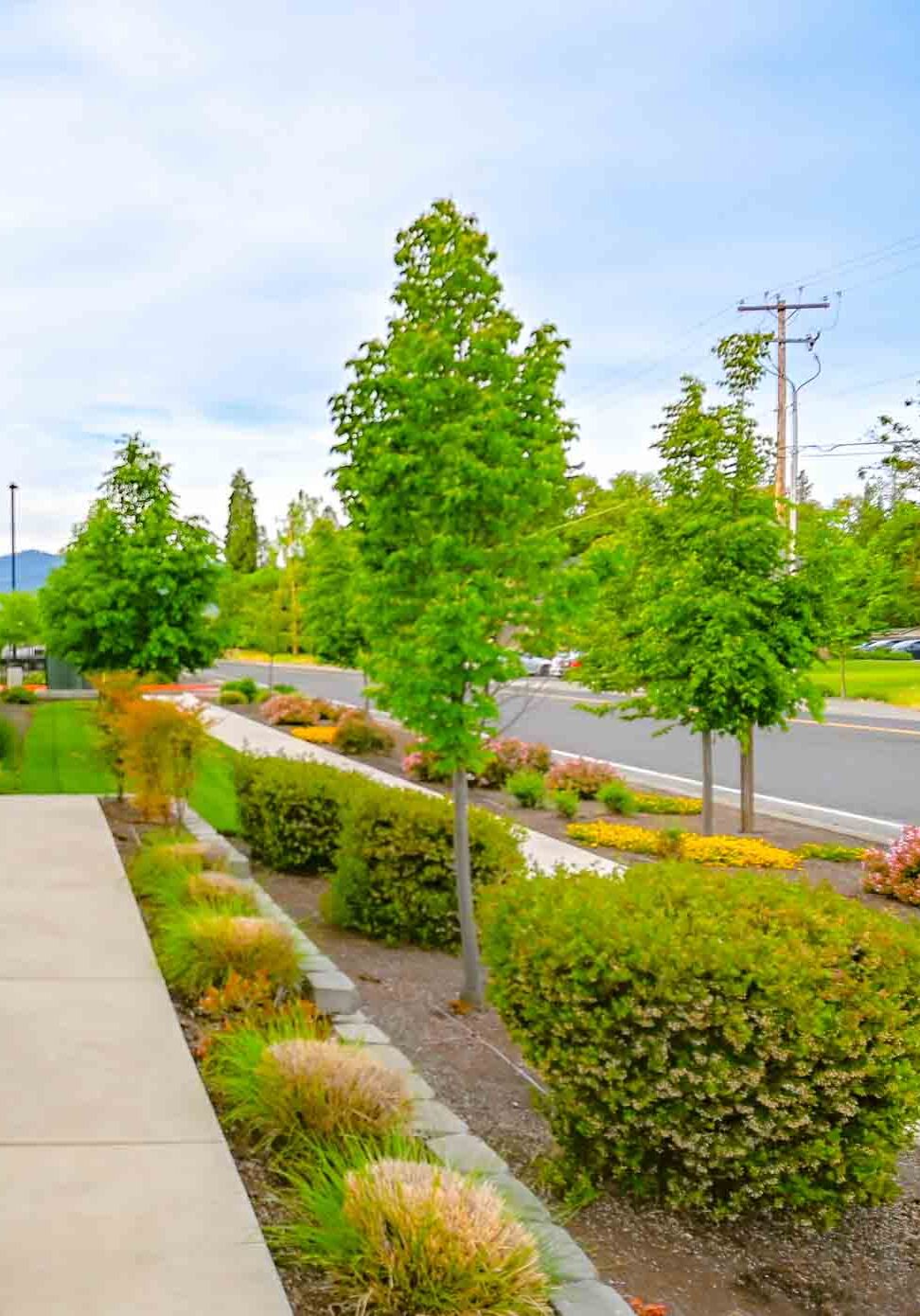 Medford, OR Commercial Landscape Maintenance