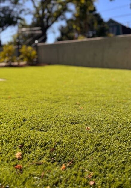 IMG 3514 Medford, OR Sod & Turf Management Services