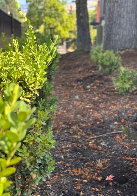 Medford, OR Irrigation Companies