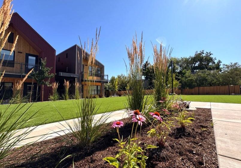 IMG 3641 Medford, OR Sod & Turf Management Services