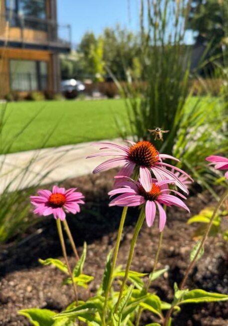 Medford, OR Landscaping Companies