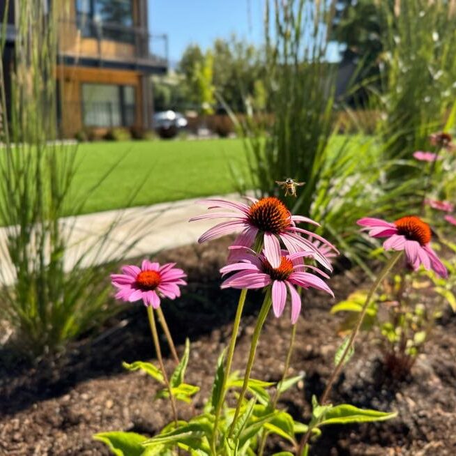 Medford, OR Landscaping Companies