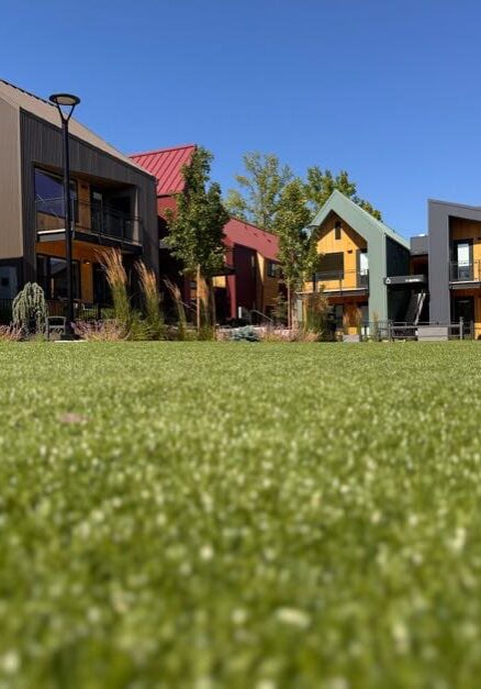 Medford, OR Sod & Turf Management Services