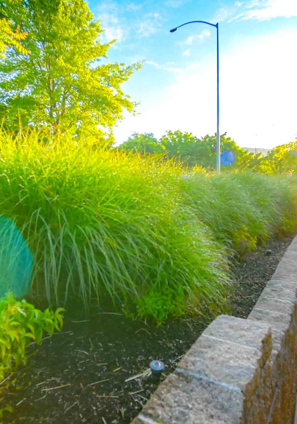 Medford, OR Commercial Irrigation Companies