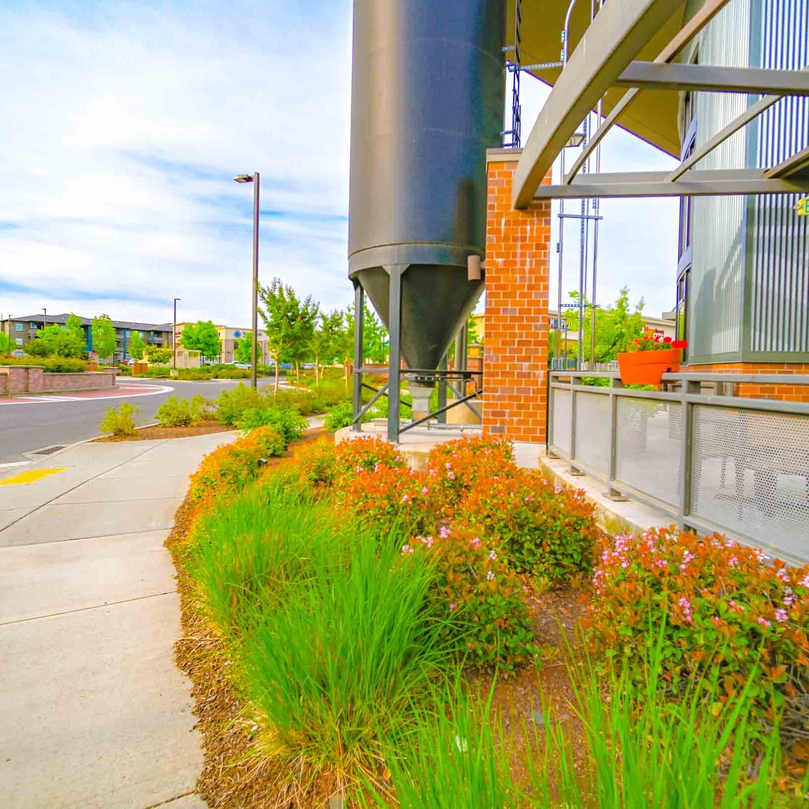 Seasonal Enhancements in Medford, OR