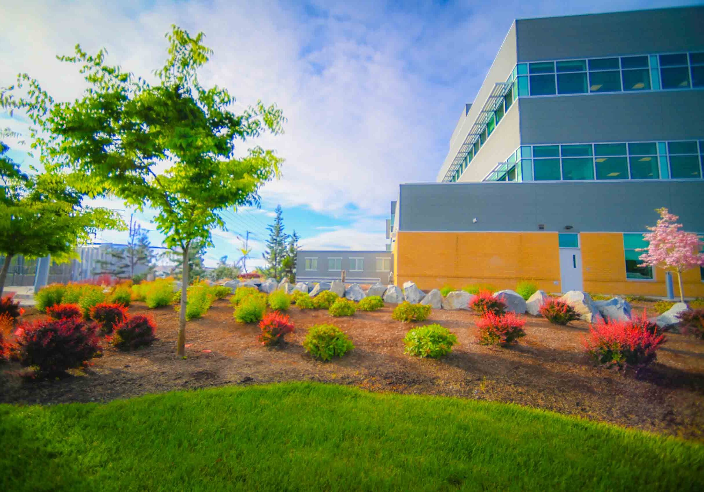 Medford, OR Commercial Landscaping Companies