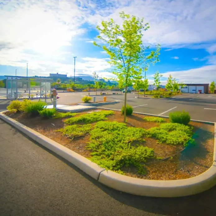 Roseburg OR Commercial Landscaping Companies (1)