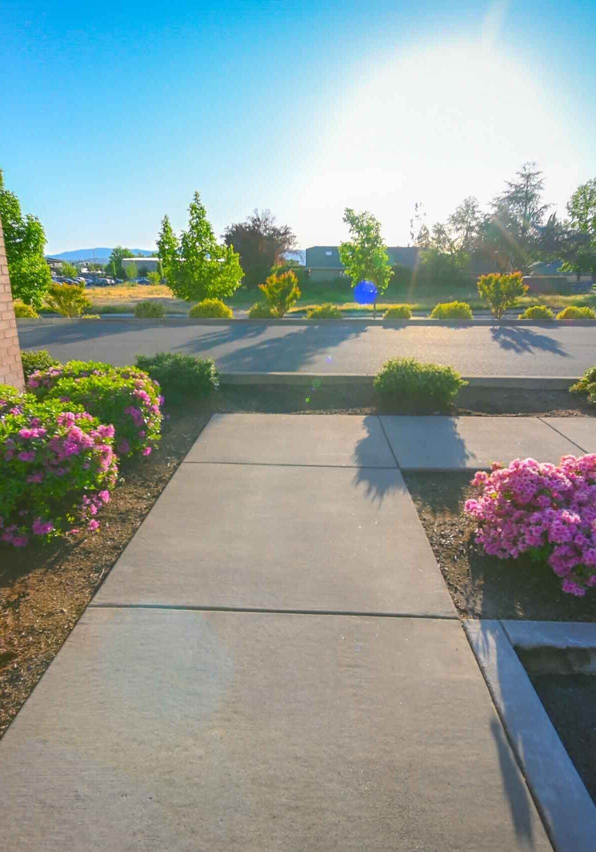 Seasonal Cleanup Medford OR