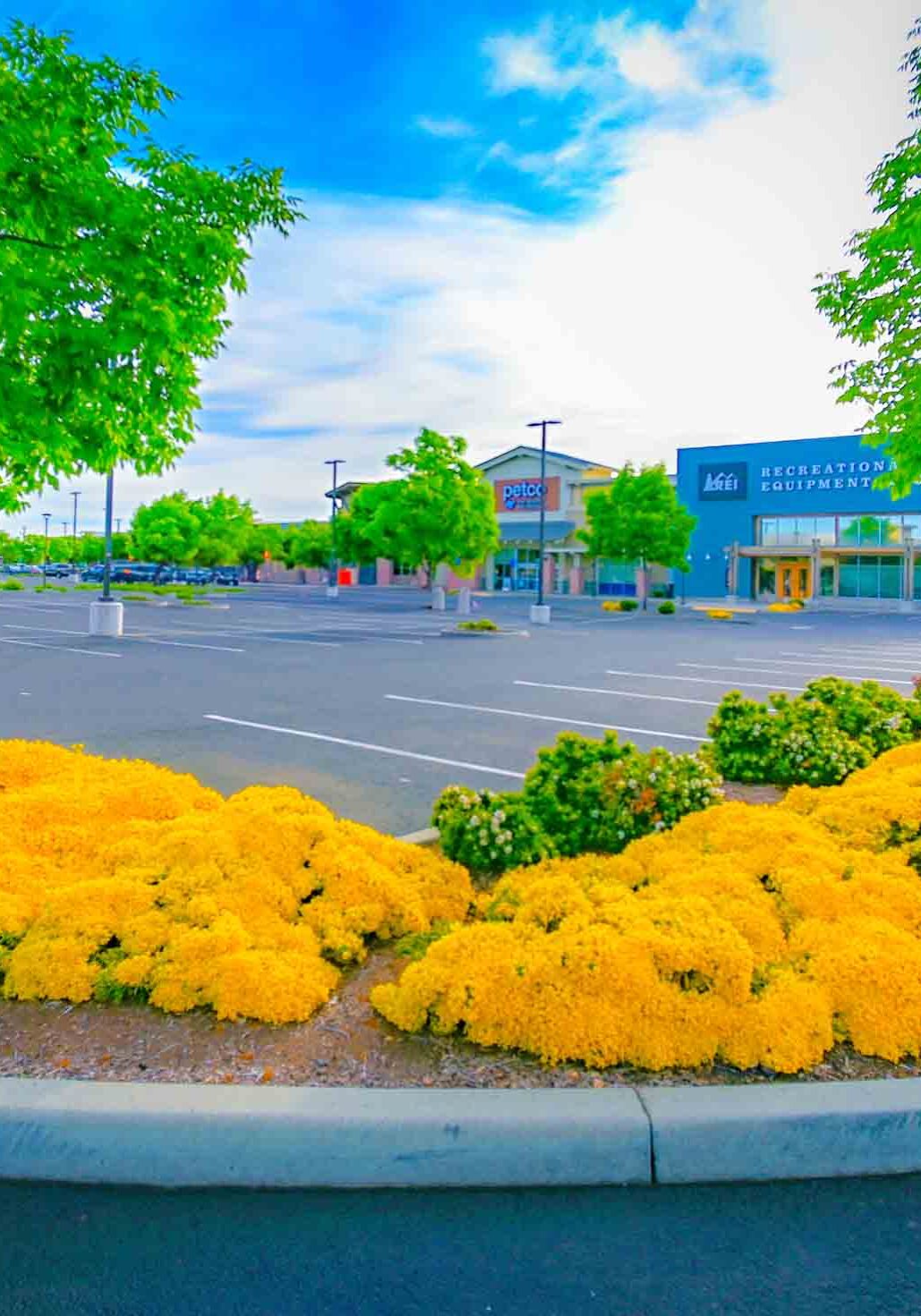 Grants Pass Or Commercial Landscape Maintenance