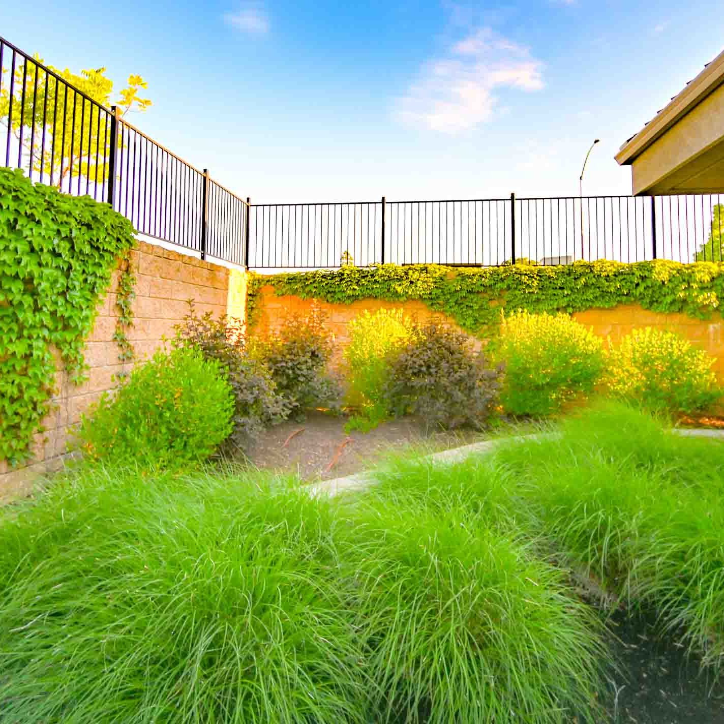 Phoenix Or Landscaping Services