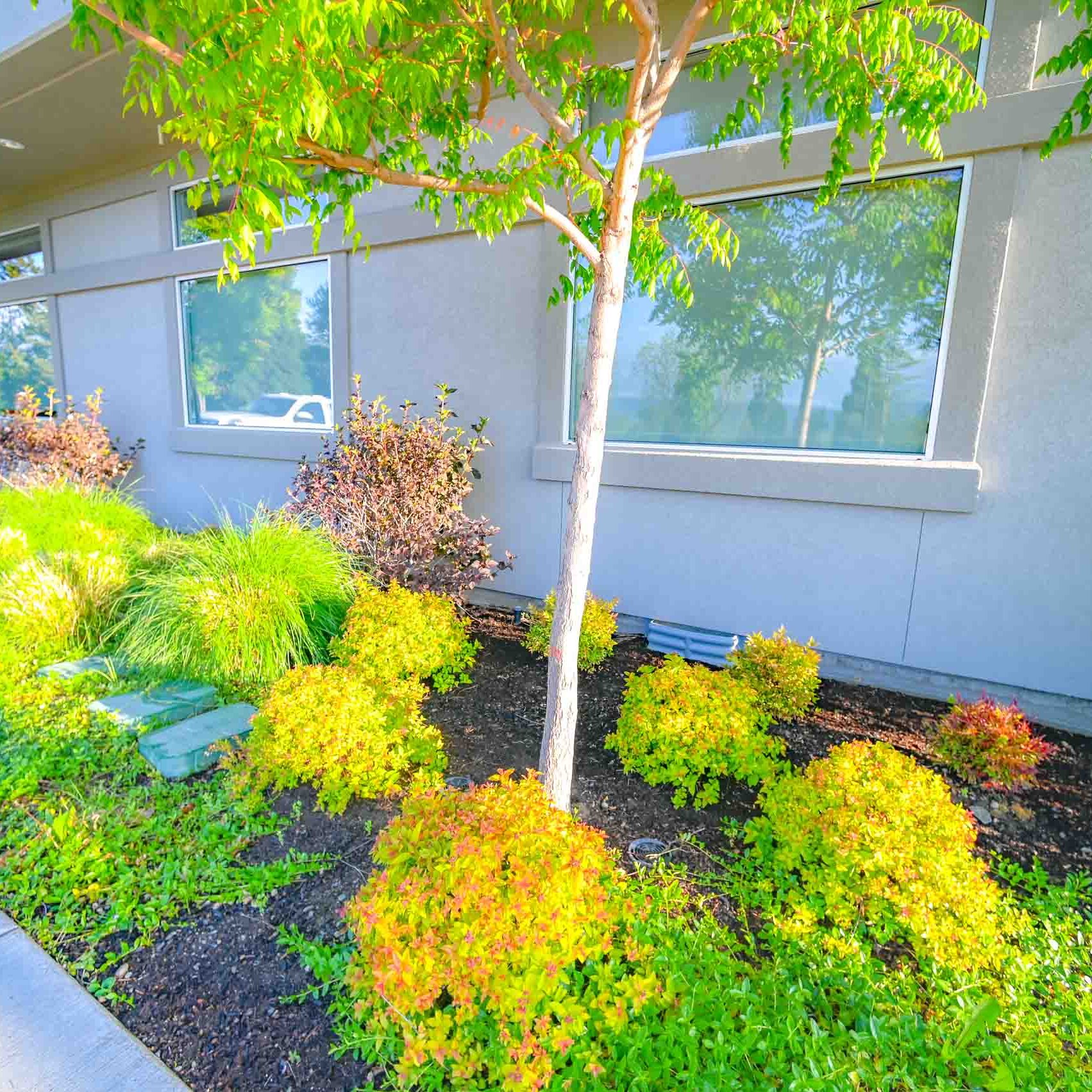 Roseburg Or Landscaping Services2